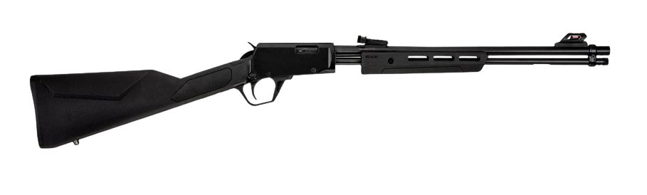 Rossi Gallery .22 Mag