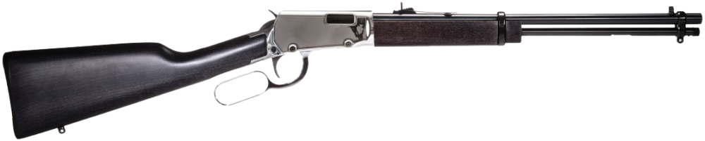 Rossi Rio Bravo .22 LR 18" Nickel
